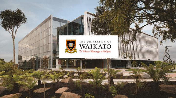 Chương trình Diploma ngành Business tại Đại học Waikato - Top 300 Thế Giới