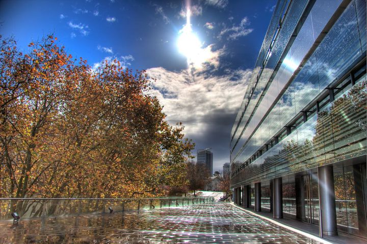 CHƯƠNG TRÌNH DỰ BỊ CHUYỂN TIẾP LÊN ĐẠI HỌC AUCKLAND - NEW ZEALAND