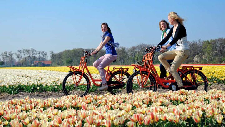 Tại sao nên chọn Hà Lan để du học